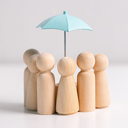 Click here to read about Insurance