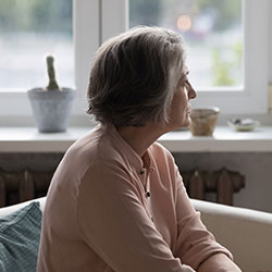 Click here to read about Protection